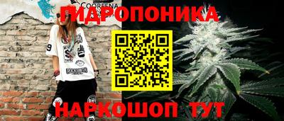 соль ск Дубна