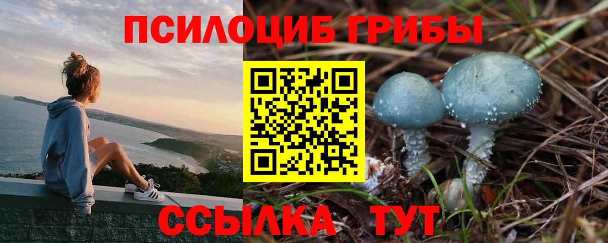 Галлюциногенные грибы Psilocybine cubensis Нижний Тагил